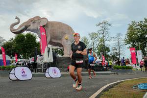 BIB: 
                            <button type="button" onclick="openModal(26528833)" class="btn btn-primary btn-sm float-right btn-popup" data-toggle="modal" data-target=".modal-high-quality">
                        <i class="fas fa-shopping-cart"></i> Add to Cart
                    </button>
                                            <button type="button" onclick="isThisMe(26528833, true)" class="btn btn-success btn-sm float-right btn-popup btn-isme hidden" data-toggle="tooltip" data-placement="bottom" title="นี่คือรูปของคุณใช่ไหม คลิกที่นี่เพื่อเอาเข้าอัลบั้ม">
                        <i class="fas fa-plus"></i> Add to album
                    </button>
                    <button type="button" onclick="isThisMe(26528833, false)" class="btn btn-warning btn-sm float-right btn-popup btn-isnotme hidden">
                        <i class="fas fa-ban"></i> Remove from album
                    </button>